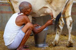 Rondreis ONBEKEND NOORD-INDIA - 16 dagen; Bihar, Uttar Pradesh e