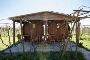 Schlafen im Weinberg