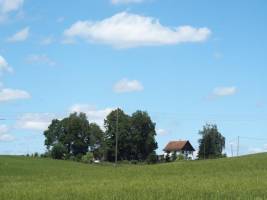 Gartenfreude beim Bergbauer, Allgäu / Bayern