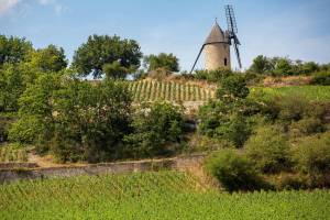 Camping De Santenay