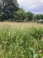 Campingplatz in Silenrieux