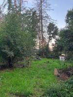 Biwakplatz im umgebauten Lebensmittelwald