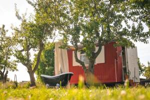 Genießen Sie in unseren Luxus-Tipis oder Pipowagen - Gelderland