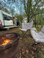 Morgens aufwachen mitten im Wald am Rande der Heide