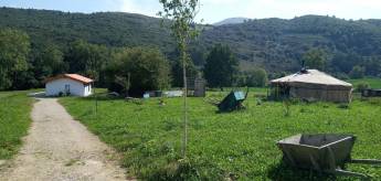 Flucht in die Natur: Camp, Jurtenaufenthalt und sternenklare Näc