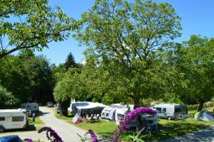 Campingpark Gitzenweiler Hof