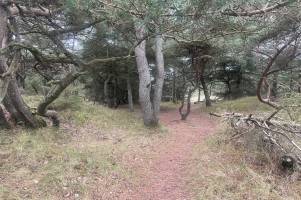 West Jutland
