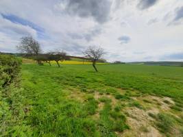 Ruhiger und panoramischer Obstgarten: Naturcampingplatz im Herze