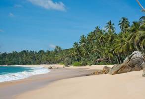 Best Deal - De Wonderen van Sri Lanka