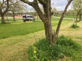 Auszeit an der Blumen-Streuobstwiese + Feuerstelle