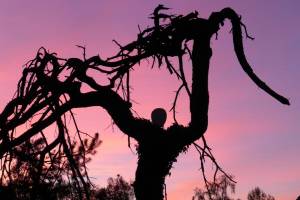 Schmecken Sie die spürbare Energie auf 'de goei wei'