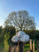 Campingplatz in Les Hayons (Bouillon), Provinz Luxemburg