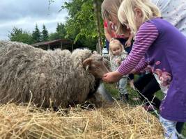 Zomers Buiten
