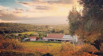 Verbringen Sie die Nacht auf einer Obstplantage auf einer portug