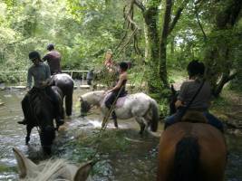 Ungewöhnliche Unterkünfte und Reitaktivitäten in der Normandie
