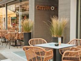 Ammos Beach Studios en Suites