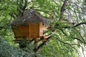 Hochgelegene Hütten in der Normandie - Ungewöhnliche Unterkunft 