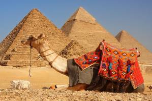 10-daagse groepsrondreis de Schatten van Egypte - t/m maart 2025