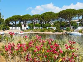 Camping Les Cigales
