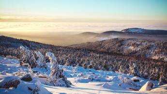 Carea Harzhotel Allrode