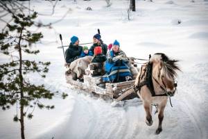 Winterse arrensleetocht, Trysil