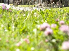 Pierre & Vacances Résidence Inter-Résidences