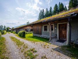 Grasine 58