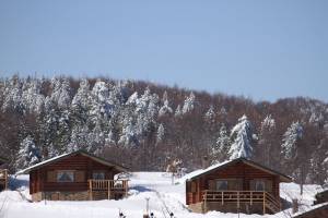 Sfendamos Wood Village