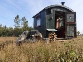 Sheperdshut Keetje in der Nähe des Naturschutzgebiets Heide