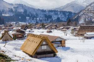 Dagtocht Shirakawago