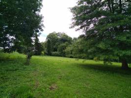 Campingplatz in Féas, Nouvelle-Aquitaine