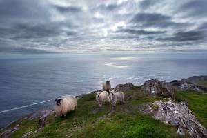 Luxe kamperen Sheep`s Head Peninsula