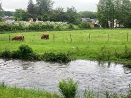 Campingplatz in Neufchâteau, Provinz Luxemburg
