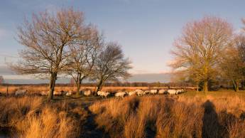 Hotel & Restaurant Wesseling