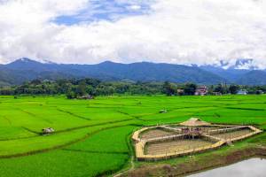 Ontdek Pua & Bo Klua in Nan