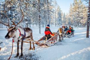 8 daagse excursiereis Yllas has it all