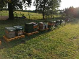 Naturcamping an der Elbtalaue