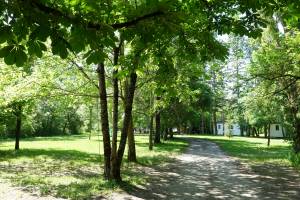 Camping L'ondine De Provence