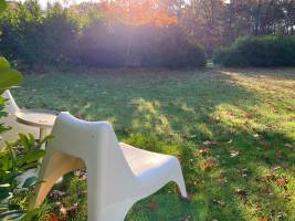 3000 m2 nur für Sie, am Waldrand in Deurne/Vlierden, Nordbrabant