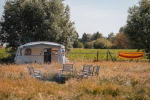 Campen unter den Pferden