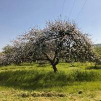 Lage im Herzen der Natur, Grand Est