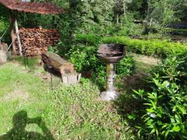 Genießen Sie das Campen in der Nähe eines Teiches in einem Waldg