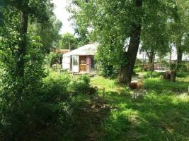 Jurte im Stempelwald
