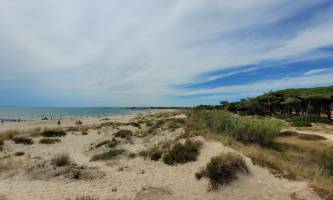 Camping La Tamarissière