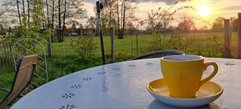 Bioreservat in Boberow, Brandenburg