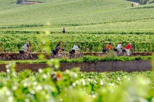Rondreis Champagne - Bourgogne - Vogezen