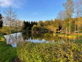 Teich und Wald in einer einzigartigen Umgebung in Regniowez, Gra