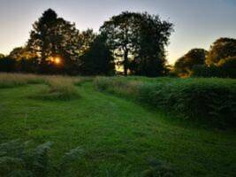 Farn Fields FKK-Retreat