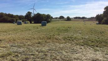 Ein Vorgeschmack auf das ländliche Frankreich in Charente